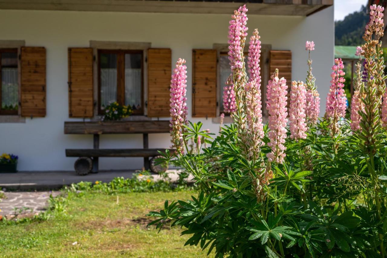 La Gerla Casa Vacanze Dolomiti Perarolo di Cadore Экстерьер фото