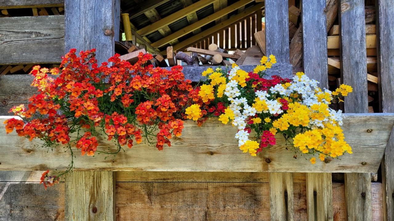 La Gerla Casa Vacanze Dolomiti Perarolo di Cadore Экстерьер фото